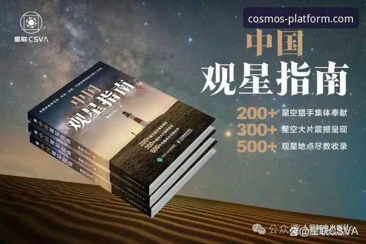 揭秘星空娱乐平台：你所不知的行业数据赋能真相