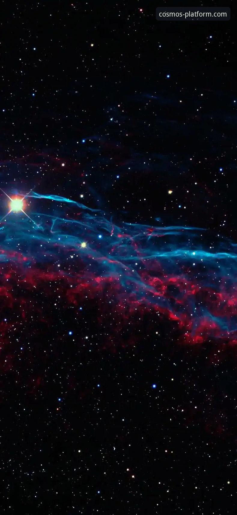 3年实战老手揭秘：星空最新版本下载推荐与数据服务使用心得