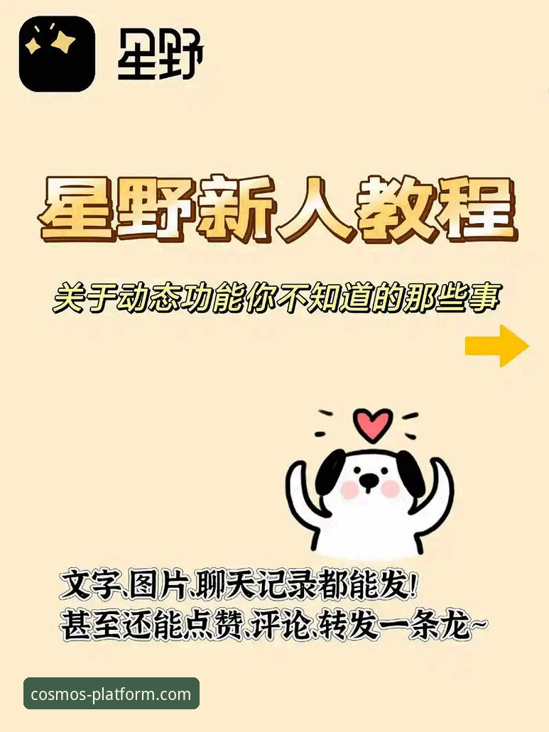 资深用户亲测：星空官网怎么下载？这份保姆级指南带你轻松上手