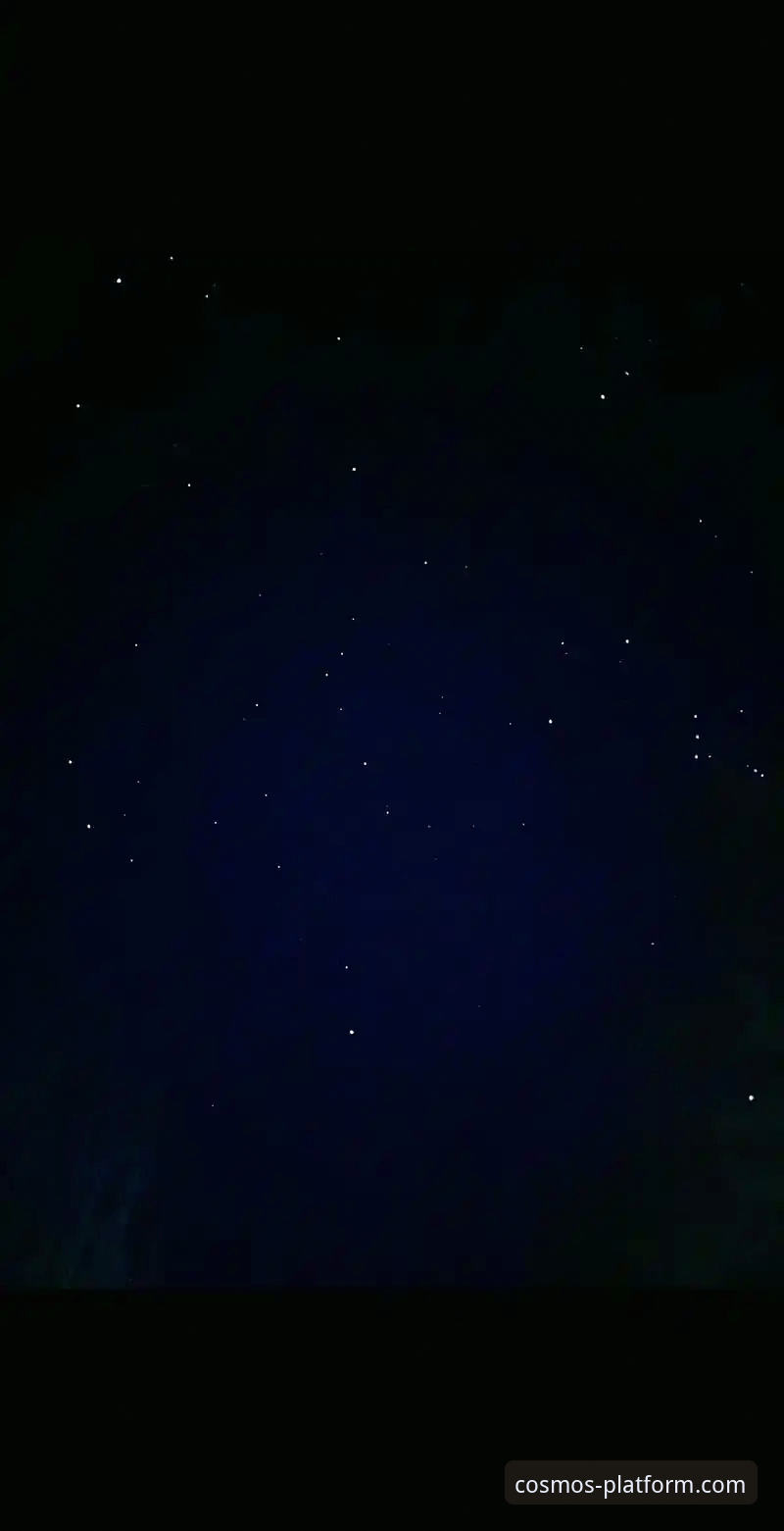 资深技术评测员亲述：星空手机版下载使用心得，v2.1.0版本实战体验